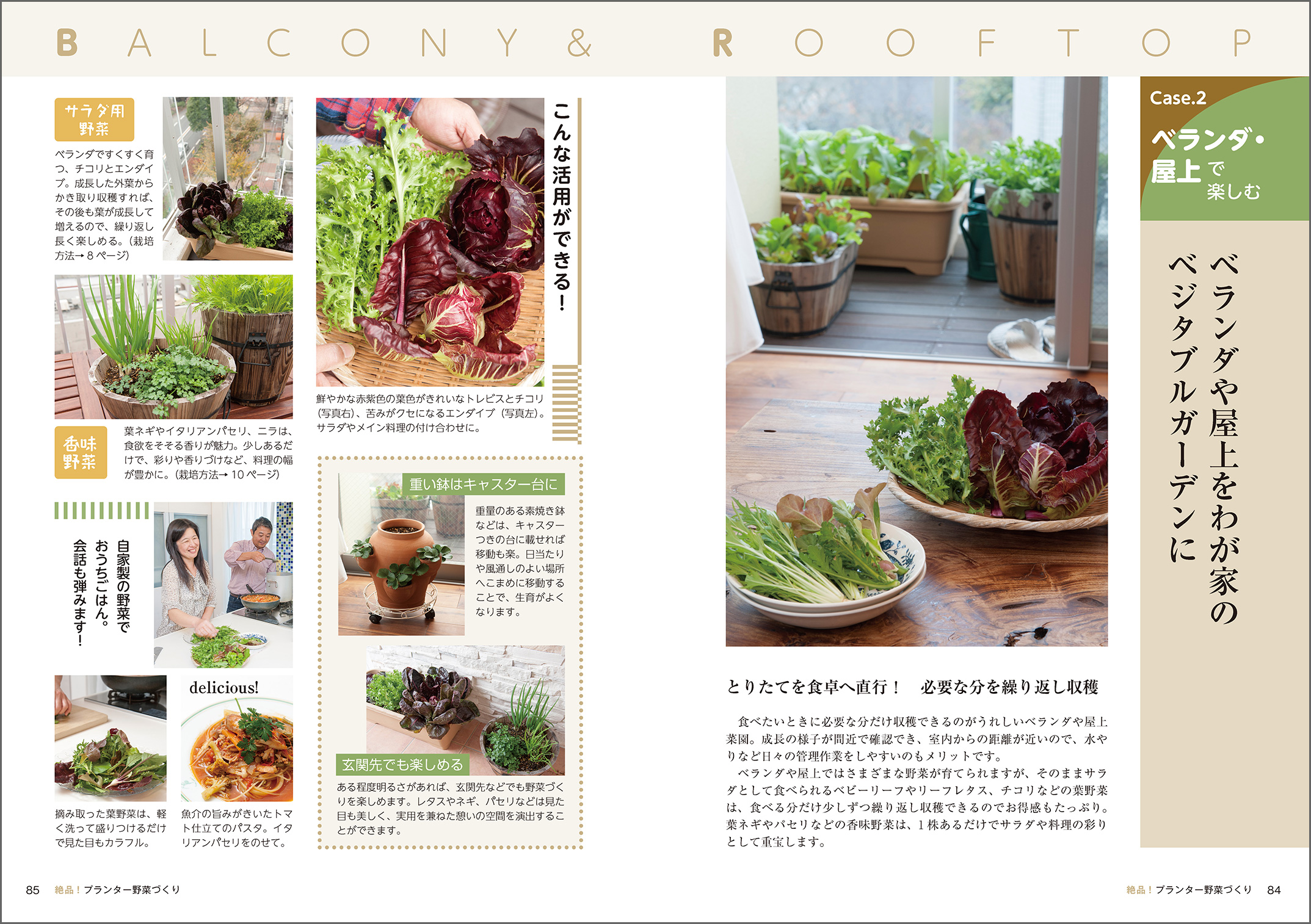 手軽にプランター野菜づくりを始められる一冊の画像