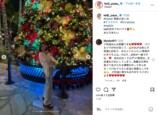 黒木啓司、ハワイでクリスマス過ごすの画像