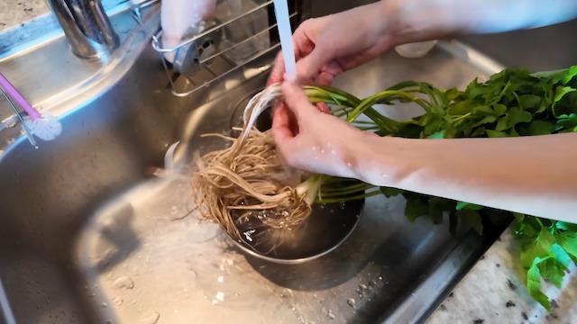 佐々木希、郷土料理づくりの画像