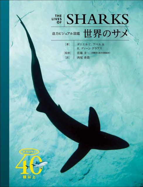 『迫力ビジュアル図鑑 プランクトンの世界』の画像