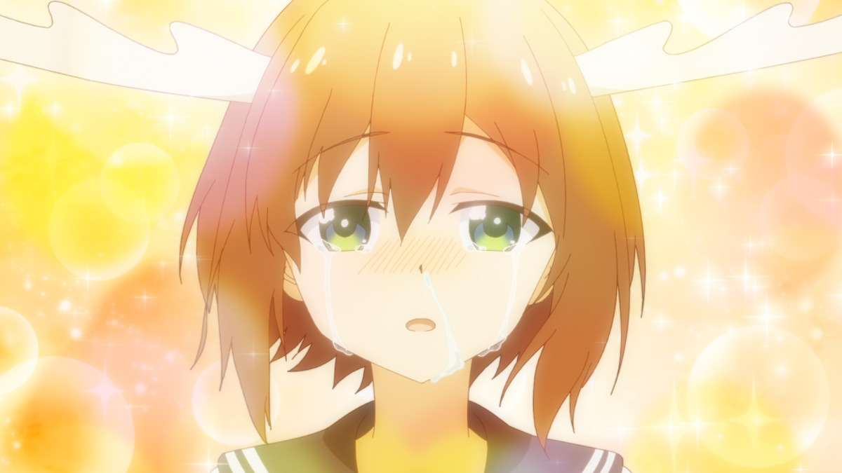 『しかのこのこのここしたんたん』でシカ三昧の画像