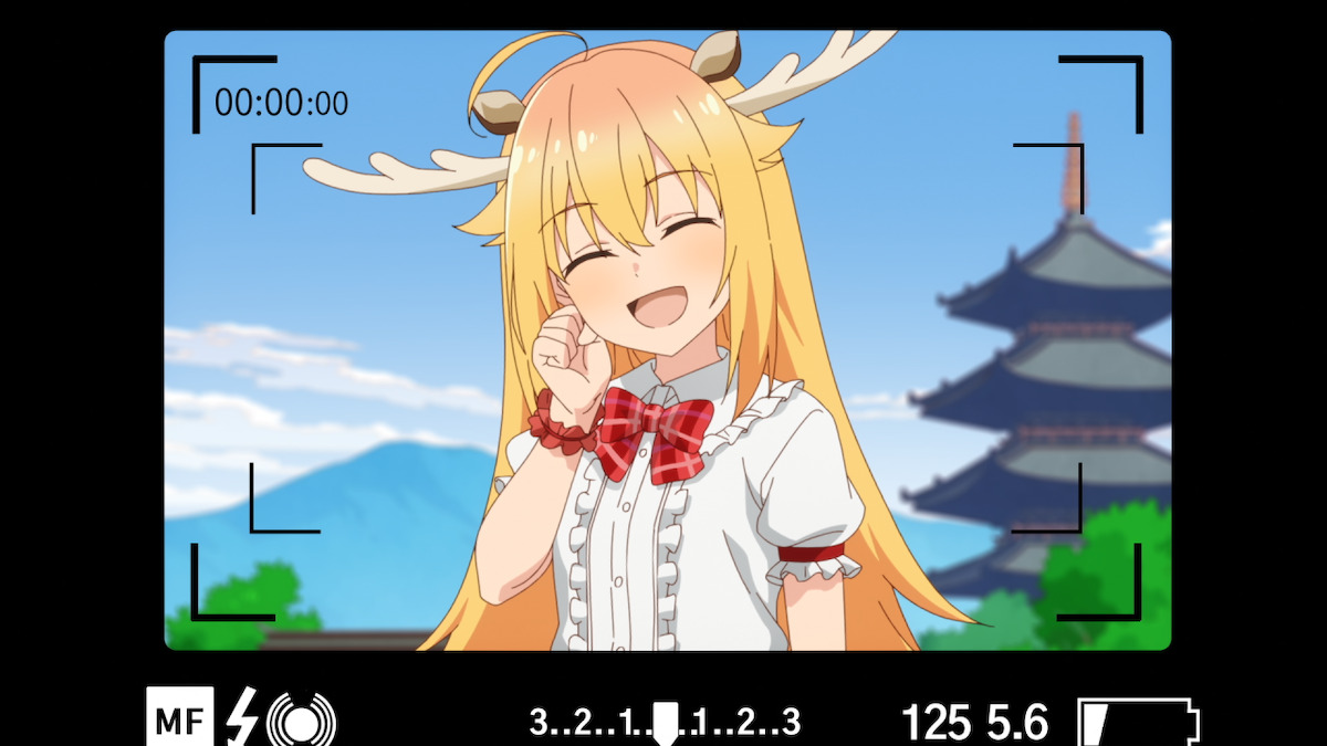 『しかのこのこのここしたんたん』でシカ三昧の画像