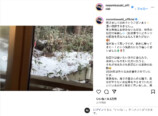 佐々木希 公式Instagramより