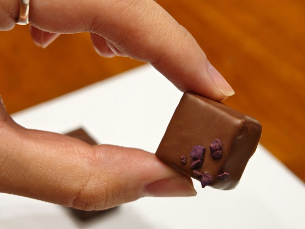 『ピエールマルコリーニバレンタインコレクション2025』の画像