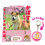 世界一有名な柴犬の写真集が期間限定で発売の画像