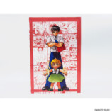 『金色のガッシュ!! 完全版』メモリーブロックの画像