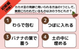 『チョコレート検定 公式テキスト 2025年版』の画像