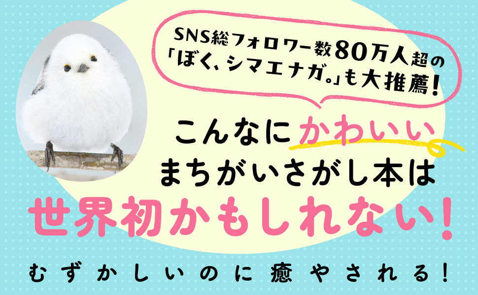 シマエナガのかわいすぎるまちがいさがしの画像