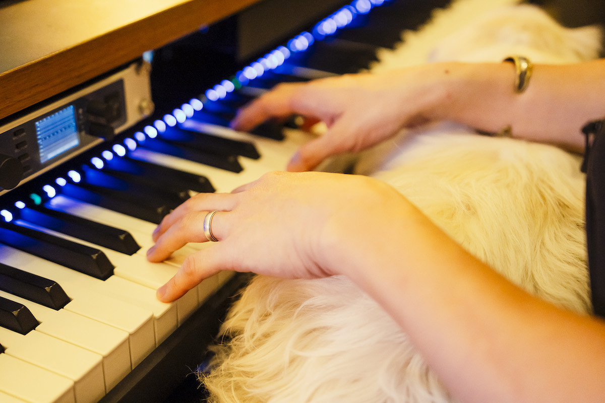 林ゆうき（撮影＝堀内彩花）