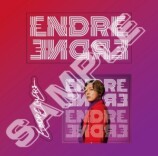 .ENDRECHERI.『END RE』初回盤B 特典ステッカーシート