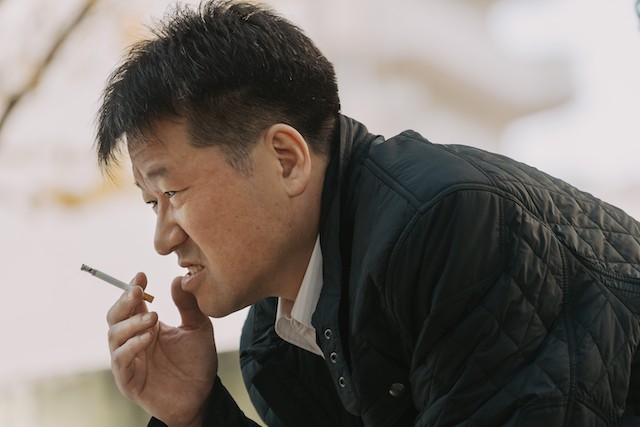 第48回日本アカデミー賞優秀賞発表の画像