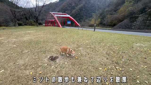 ハスコ、“日本一ダメな道の駅”に潜入の画像