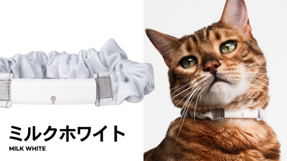 猫用見守りデバイス『Catlog 2』が登場の画像