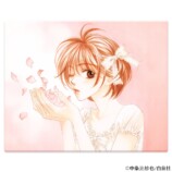 『花ざかりの君たちへ』原画展が開催の画像