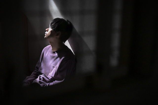 『クジャクのダンス』が必見である理由の画像