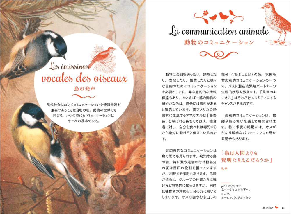 40種以上の小鳥の鳴き声や生態を解説の画像