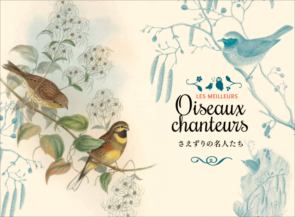 40種以上の小鳥の鳴き声や生態を解説の画像