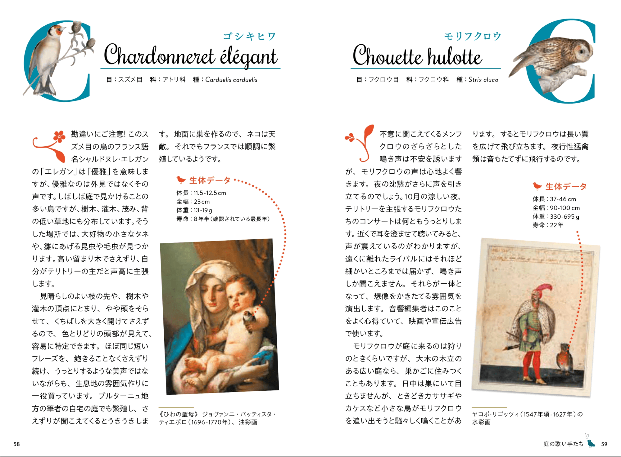 40種以上の小鳥の鳴き声や生態を解説の画像
