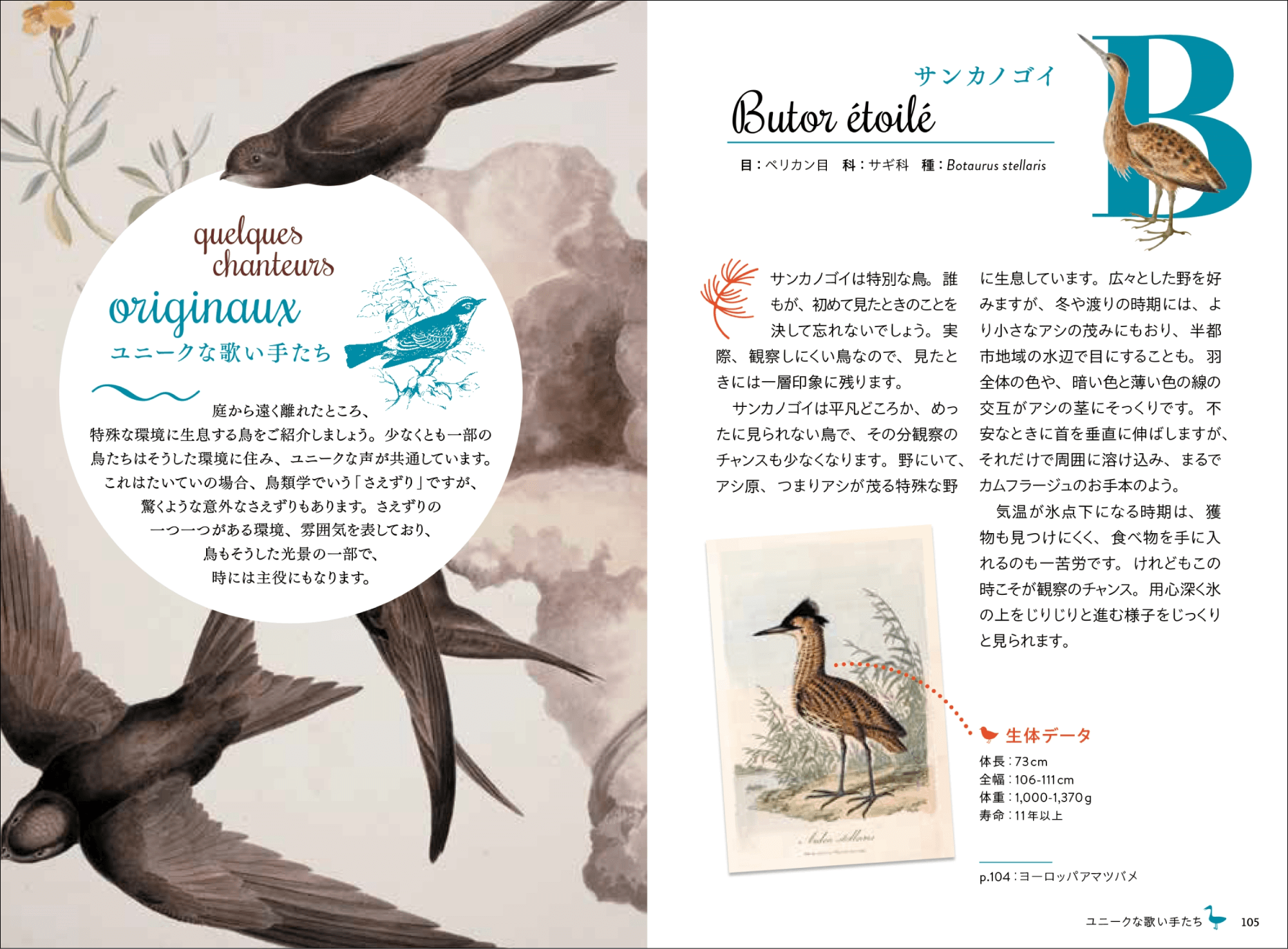 40種以上の小鳥の鳴き声や生態を解説の画像