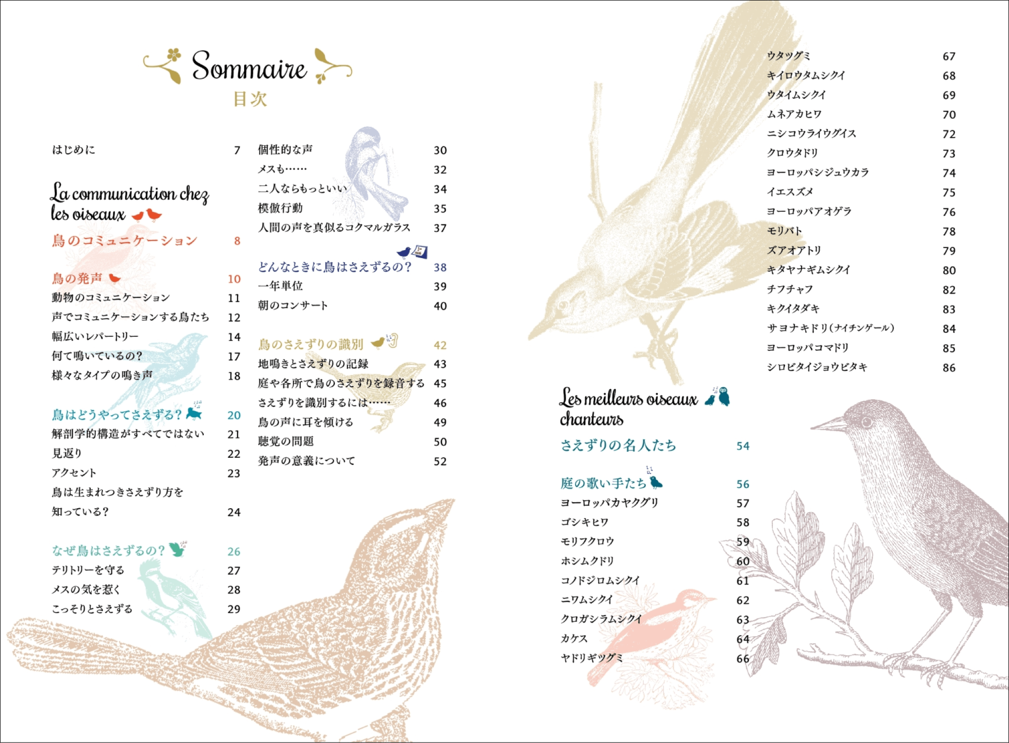 40種以上の小鳥の鳴き声や生態を解説の画像