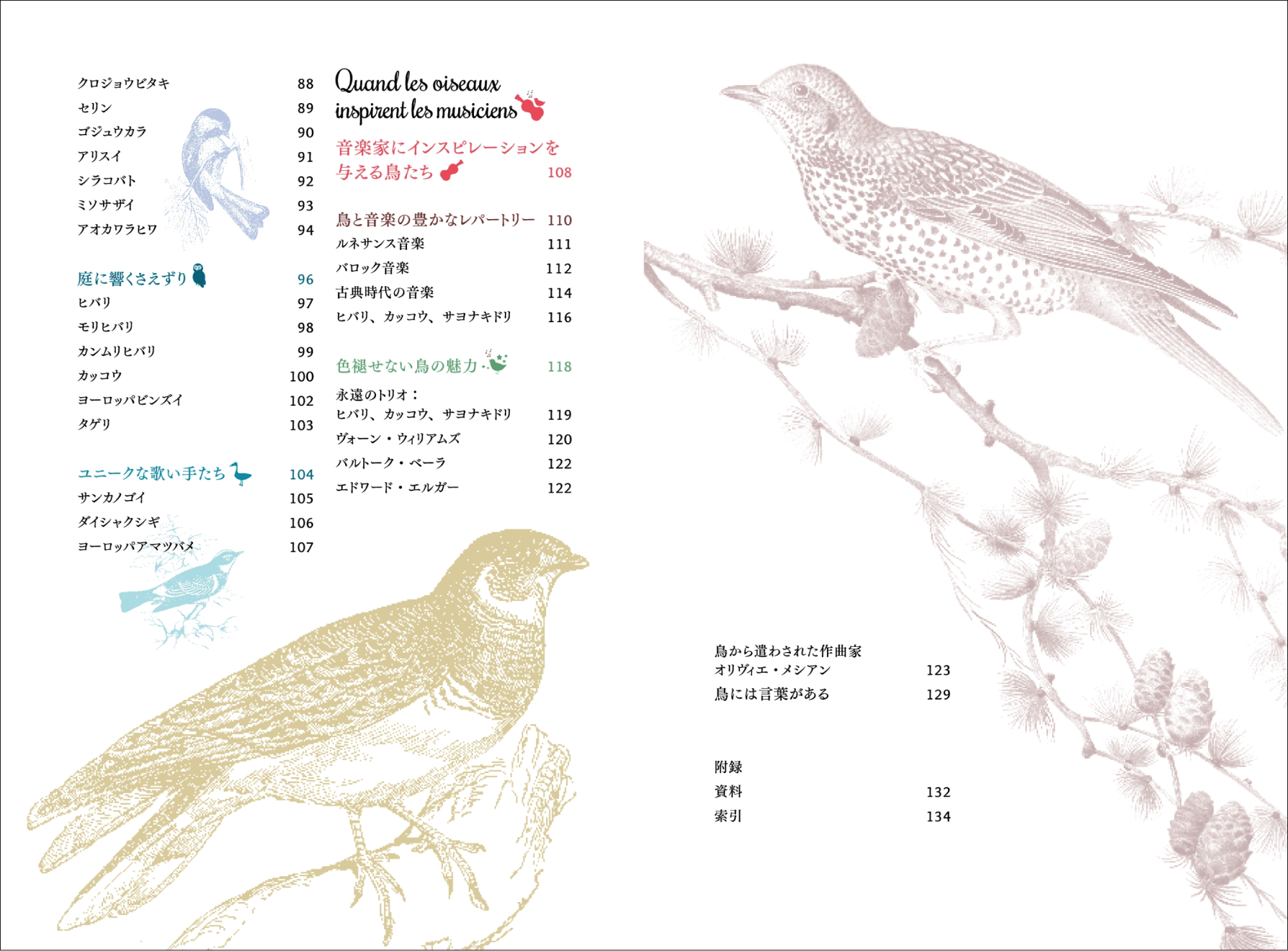 40種以上の小鳥の鳴き声や生態を解説の画像