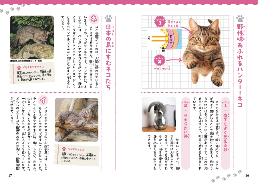 楽しく学べる『いきものだらけのことば図鑑』の画像