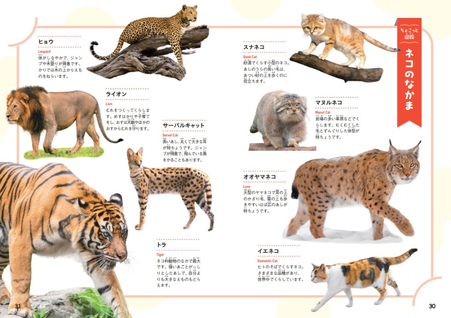 楽しく学べる『いきものだらけのことば図鑑』の画像