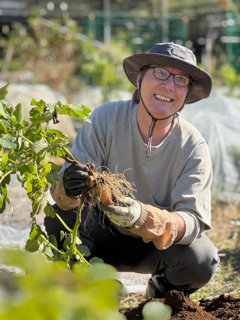 『家庭で楽しむペルシャ料理』の画像