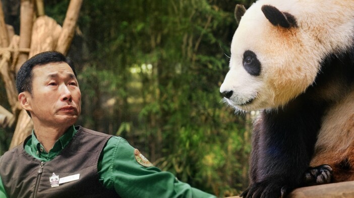 パンダと飼育員の1354日間の記録　韓国ドキュメンタリー『私の親愛なるフーバオ』公開決定