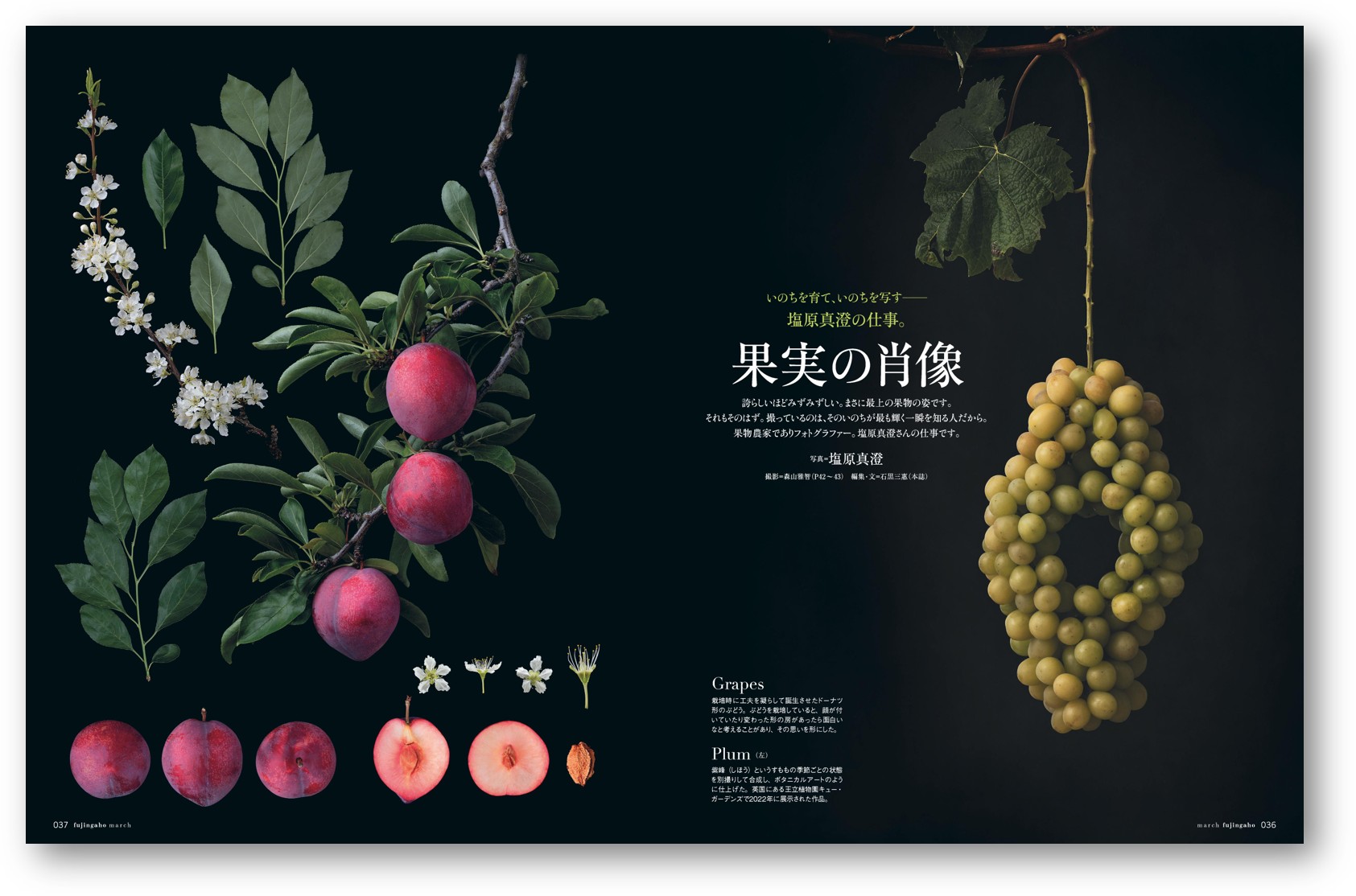 人生を変えるお茶とコーヒーを特集『婦人画報』の画像