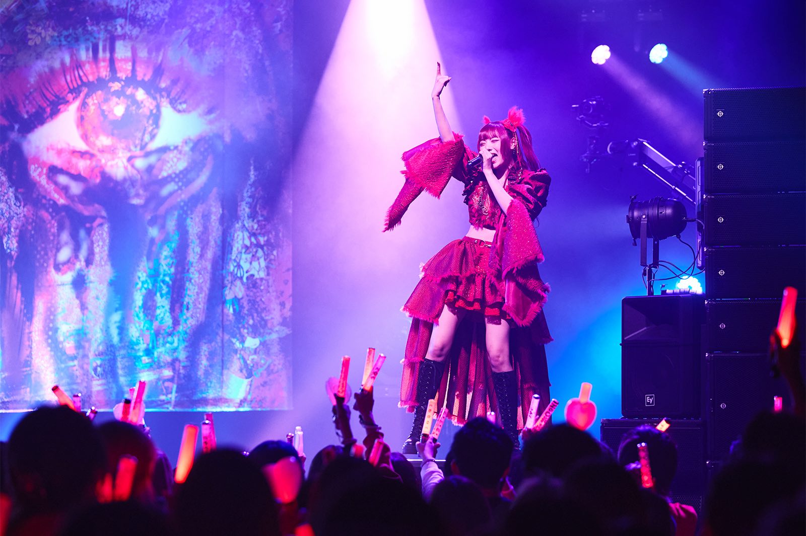 元ZOC・藍染カレン『藍臓』インタビューの画像