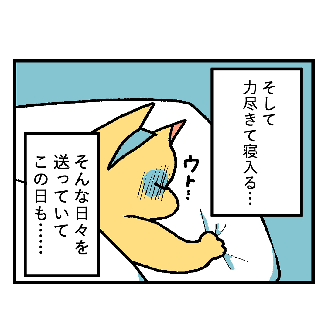 【漫画】ウキウキの同棲生活に謎のルールの画像