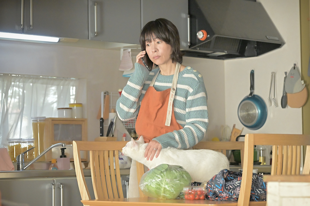 『クジャクのダンス』第5話先行カットの画像