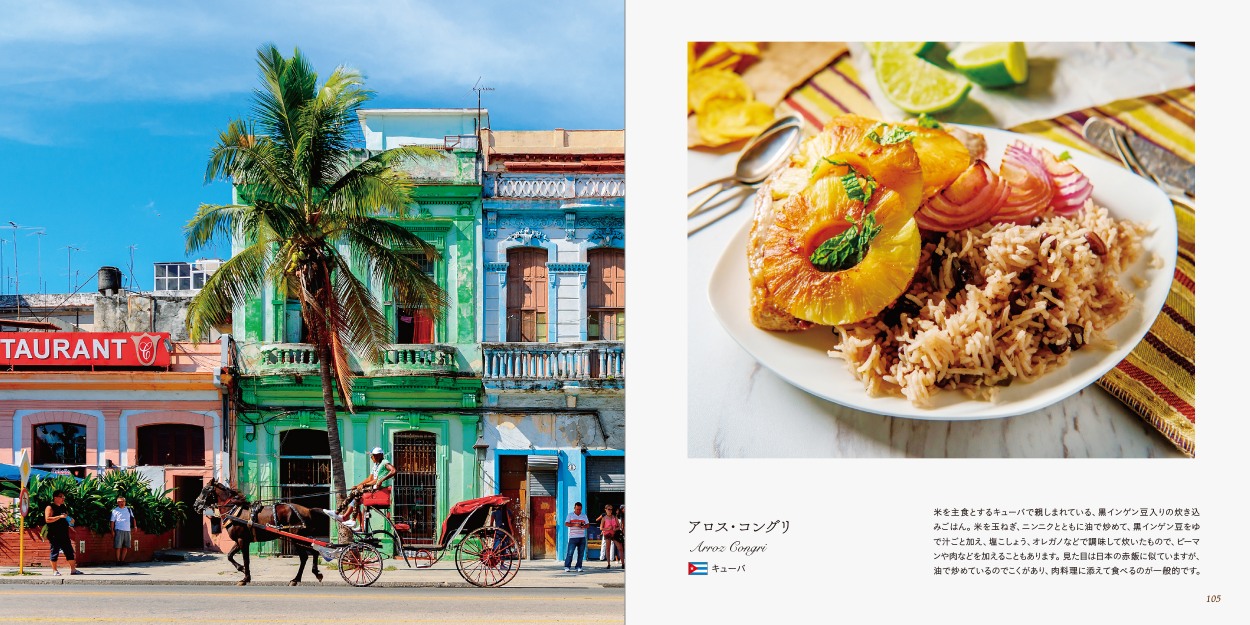 『世界の郷土ごはん ‐75カ国の伝統メニュー‐』が発売の画像