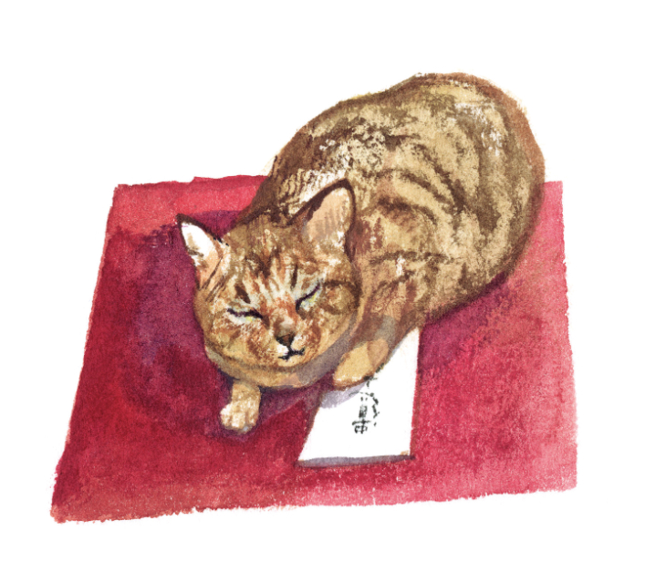 『私が死んだあとも愛する猫を守る本』の画像