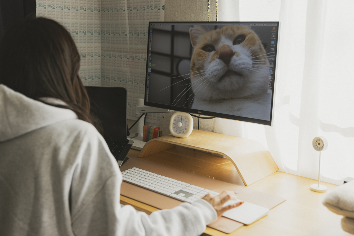 『元野良猫チャチャの毎日』が3月14日に発売の画像