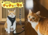 『元野良猫チャチャの毎日』が3月14日に発売の画像