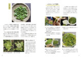 『若杉ばあちゃんの野草料理&まこもたけレシピ全90品』の画像