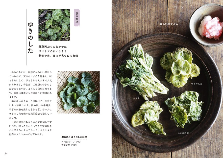 『若杉ばあちゃんの野草料理&まこもたけレシピ全90品』の画像