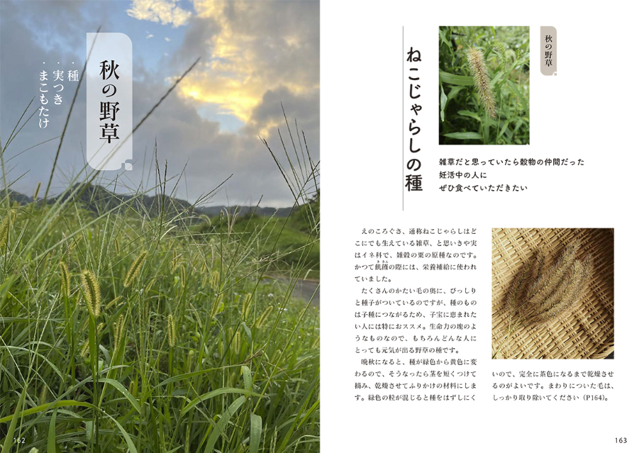 『若杉ばあちゃんの野草料理&まこもたけレシピ全90品』の画像