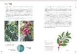 栽培から流通、品評会まで『Coffee大図鑑』の画像