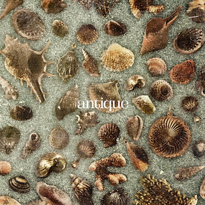 『antique』初回生産限定盤