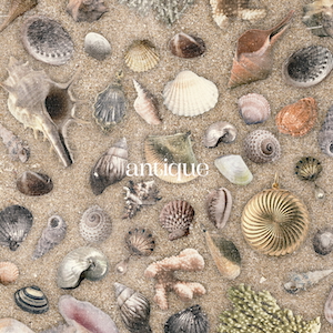 『antique』通常盤