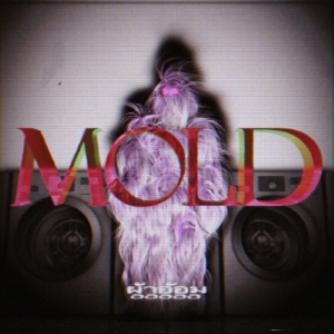 ผ้าอ้อม99999『mold』ジャケット写真