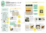 『マネしてラクする365日フリージング離乳食＆幼児食』が話題の画像