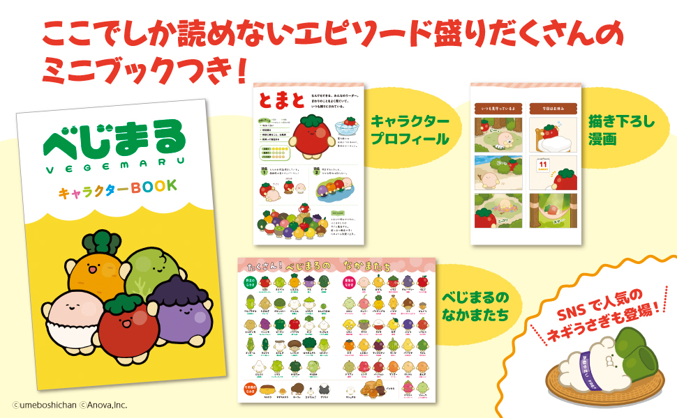 SNSで話題！野菜の妖精“べじまる”初の公式BOOKの画像