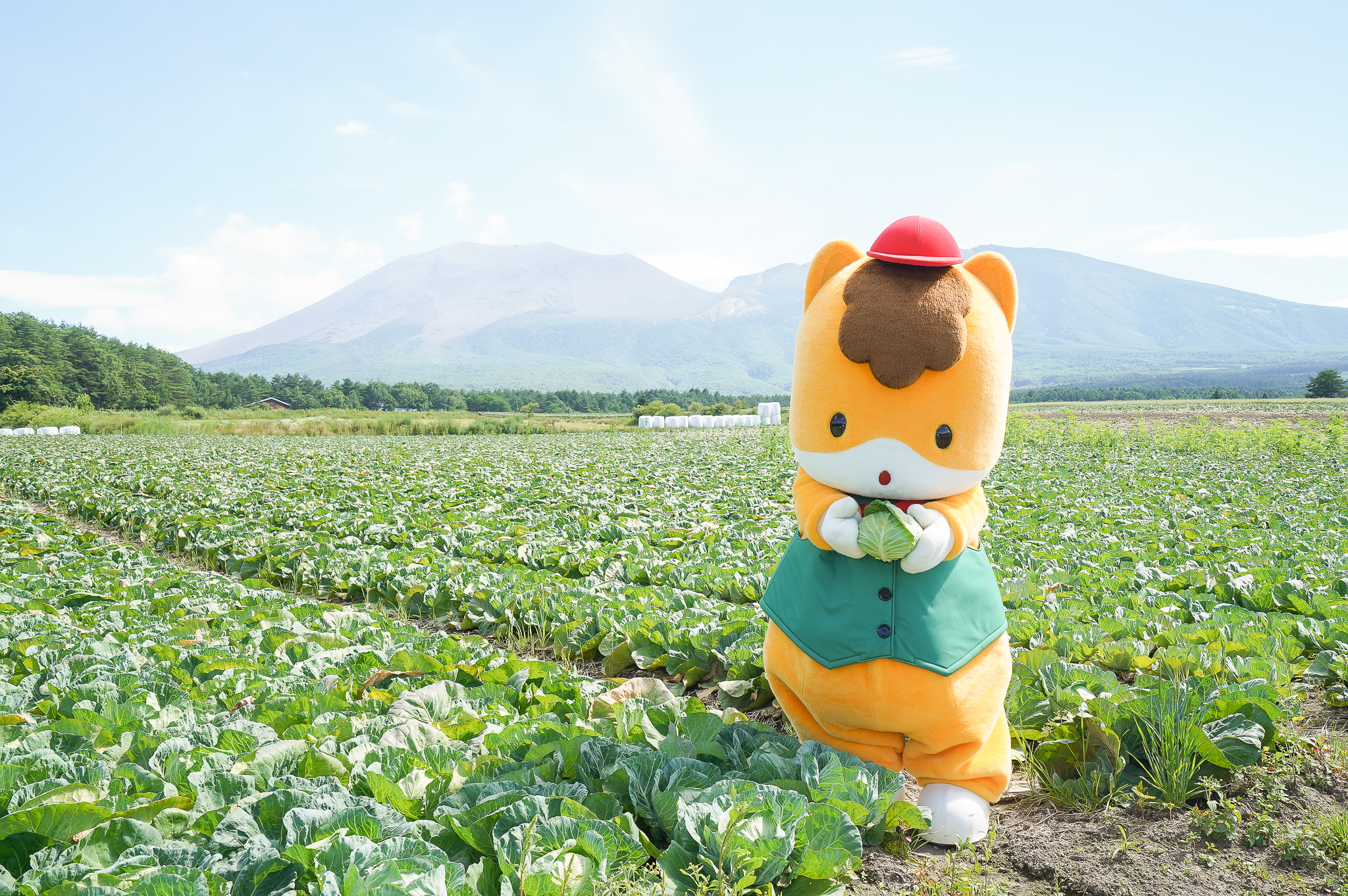 ぐんまちゃんの活動30周年記念写真集の画像