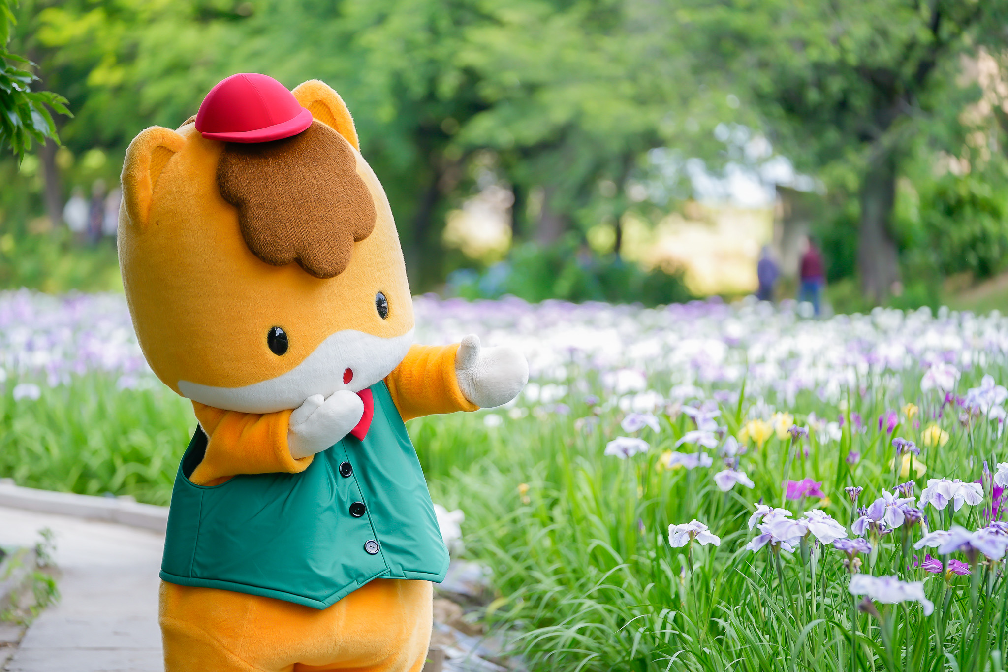 ぐんまちゃんの活動30周年記念写真集の画像