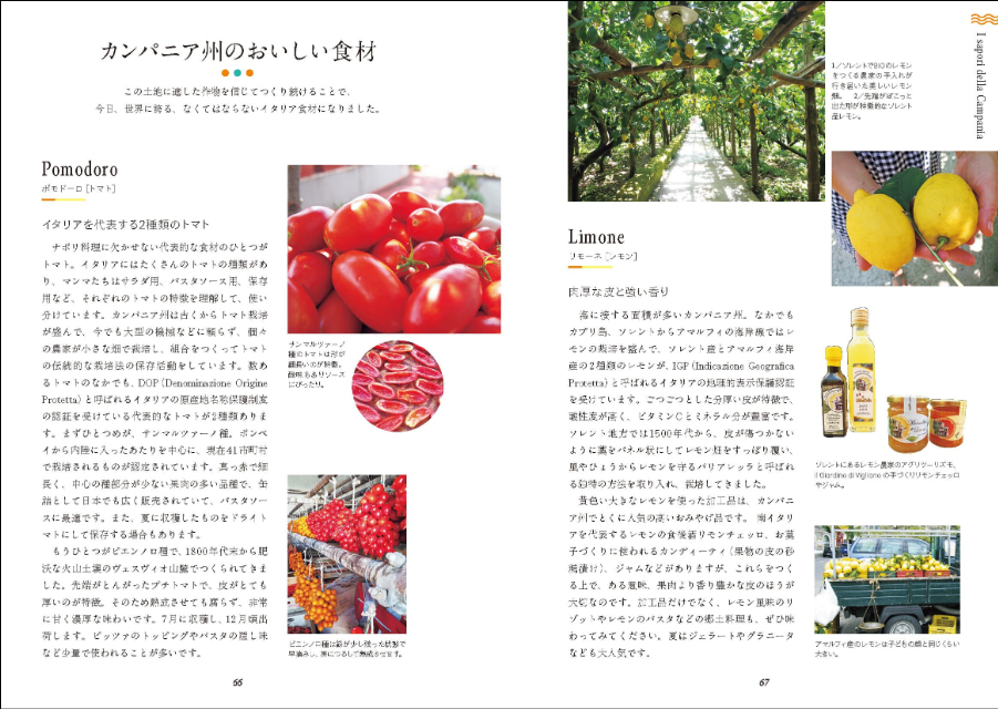 『最新版 ナポリとアマルフィ海岸周辺へ』の画像