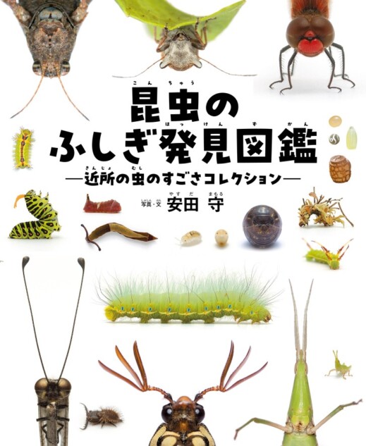 『昆虫のふしぎ発見図鑑』が発売